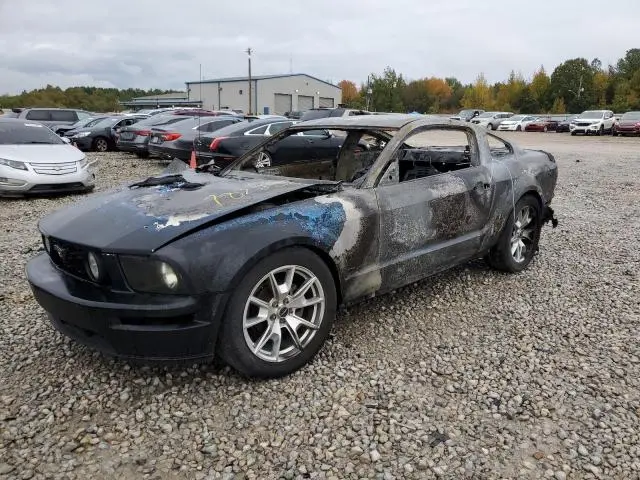 1ZVHT80N385125655