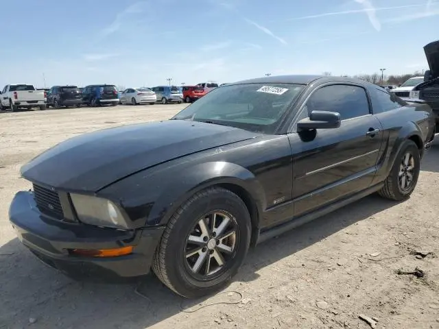 1ZVHT80N385191008