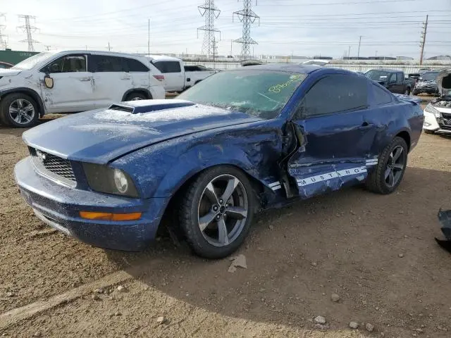 1ZVHT80N395112244