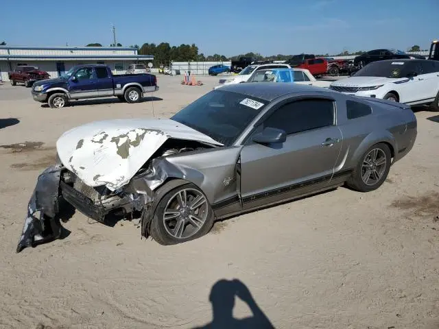 1ZVHT80N395126273