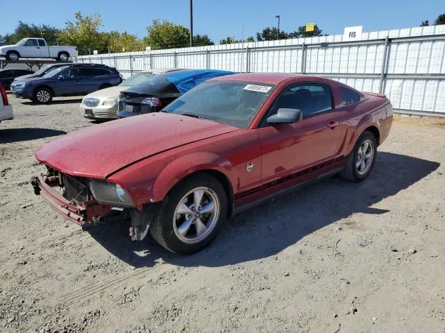 1ZVHT80N395140061