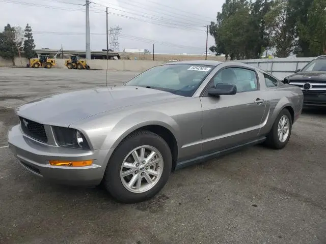 1ZVHT80N485159846