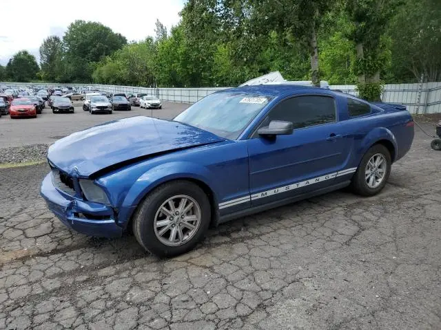 1ZVHT80N485207927
