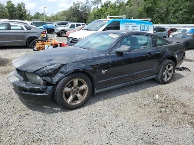 1ZVHT80N495117212