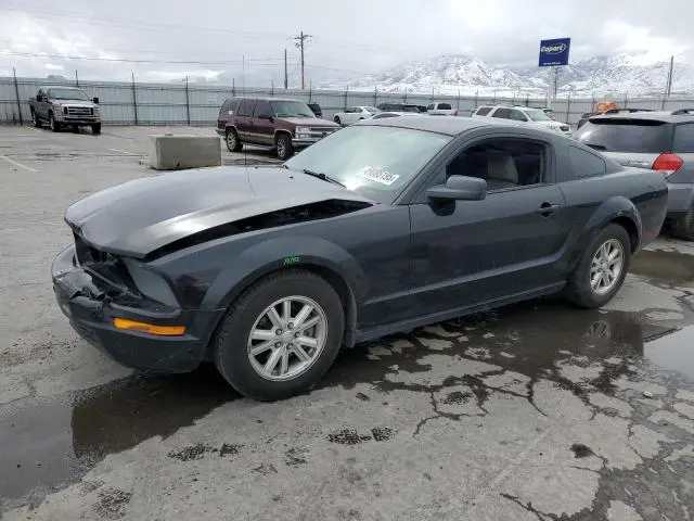 1ZVHT80N685109353