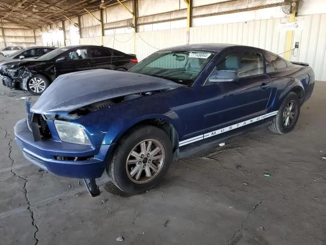 1ZVHT80N685196655