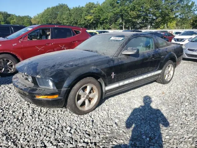 1ZVHT80N785149571