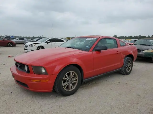 1ZVHT80N855181893