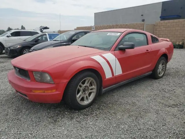 1ZVHT80N965259261