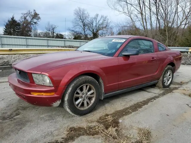 1ZVHT80N965265156