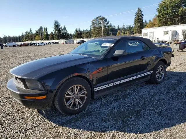 1ZVHT84N355247230