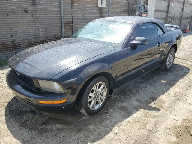 1ZVHT84N485125965