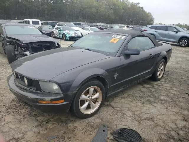 1ZVHT84NX75207861