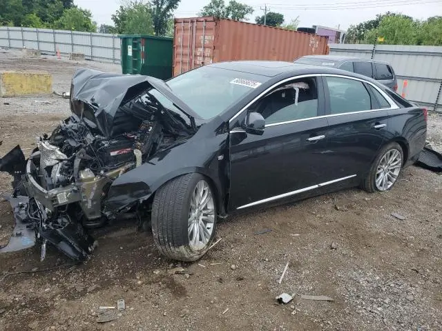 2G61M5S31J9119876