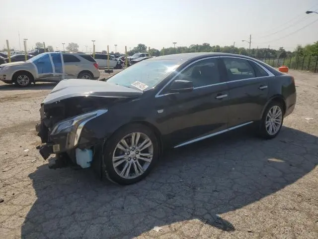 2G61M5S33K9153657