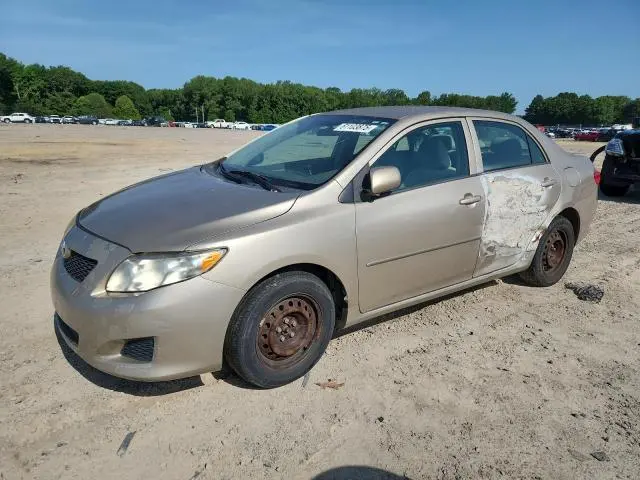 2T1BU40E19C160262