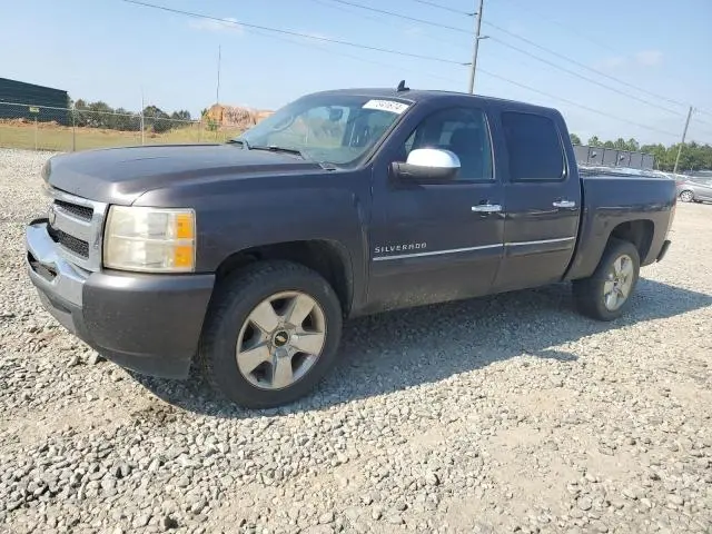3GCRCSE03AG181546
