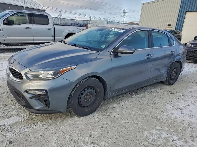 3KPF54AD4LE231905
