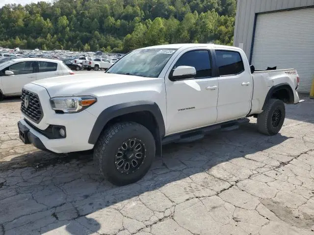 3TYDZ5BN6LT000135