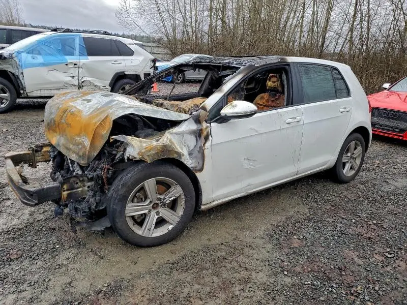 3VW217AU5HM016698
