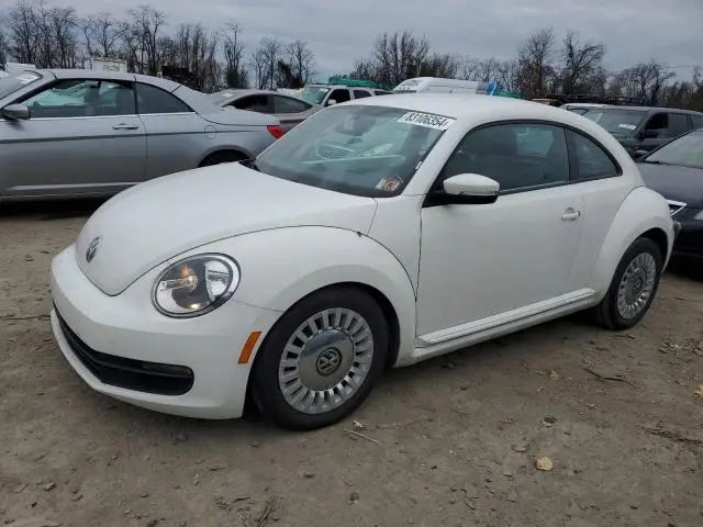 3VWJP7AT8EM621487
