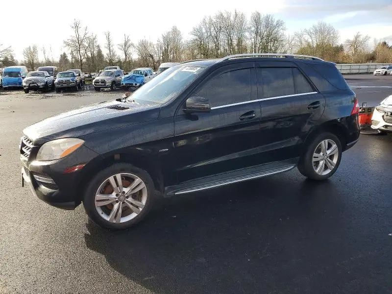 4JGDA5HB2CA066495
