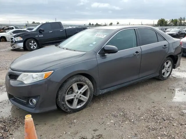 4T1BF1FK2DU216464