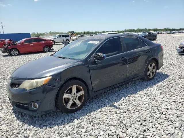 4T1BF1FK5DU255095