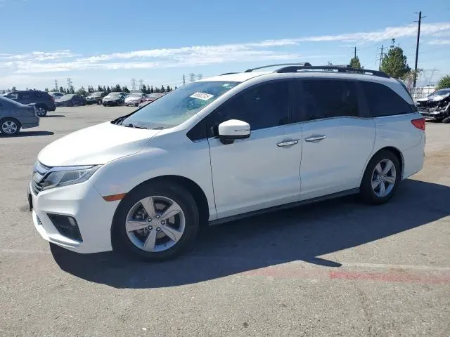 5FNRL6H59LB032081