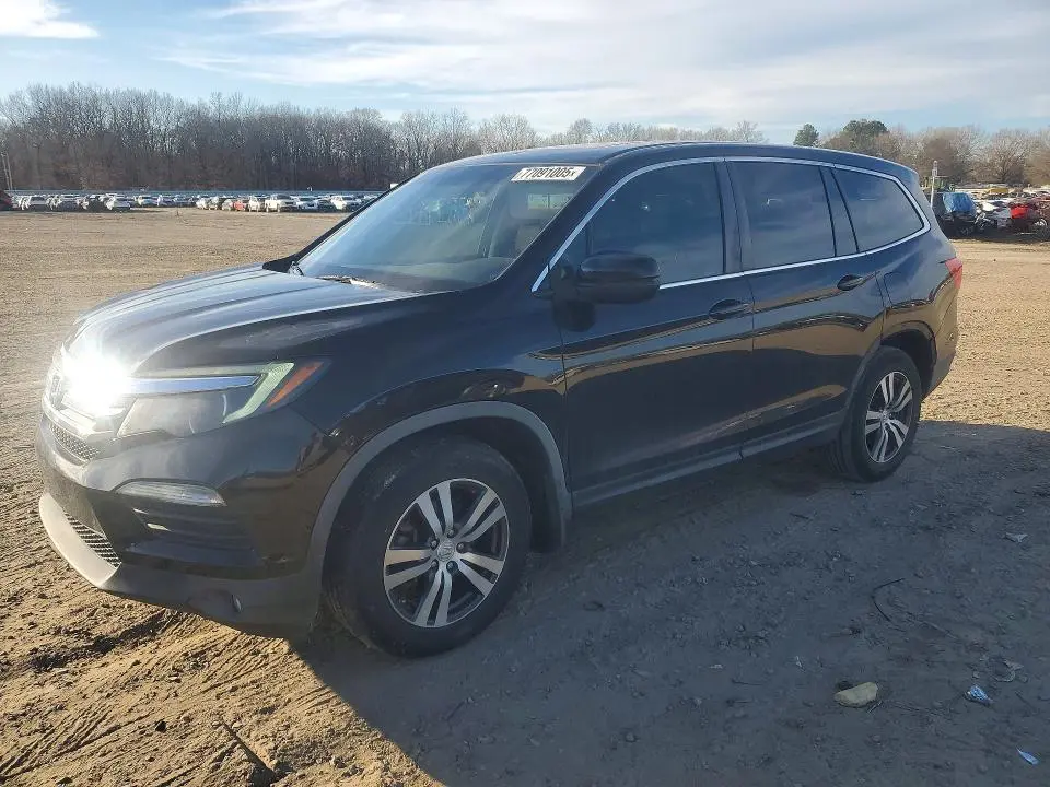 5FNYF5H50JB031556