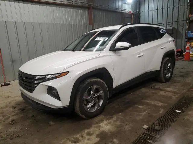 5NMJBCAEXNH036800