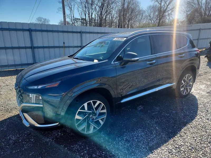 5NMS5DAL4PH560110