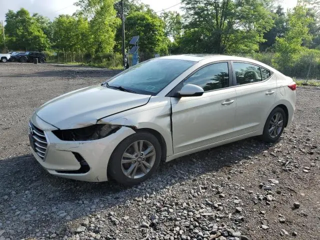 5NPD84LF7HH206464