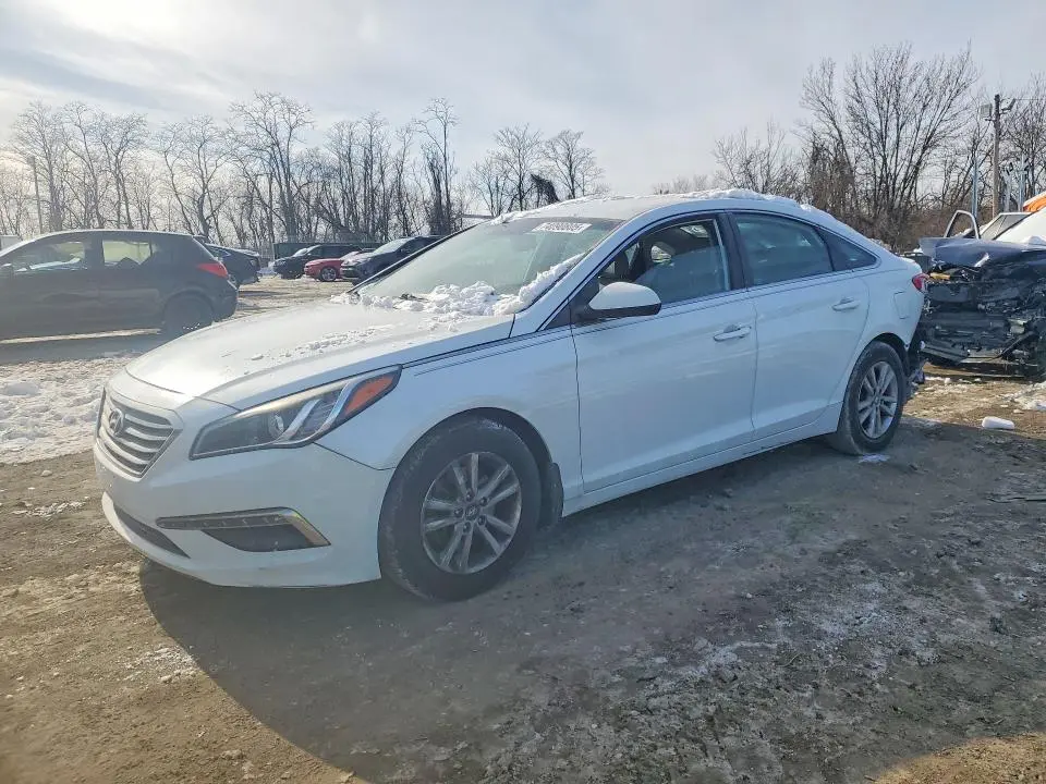 5NPE24AF1FH201878