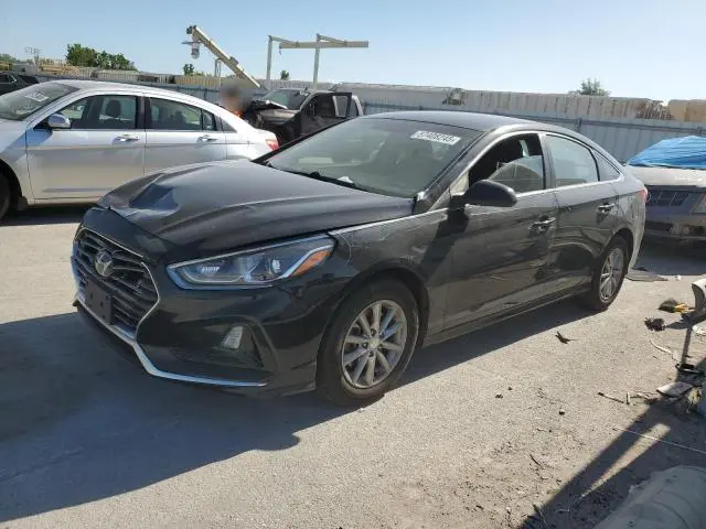 5NPE24AF3KH755546