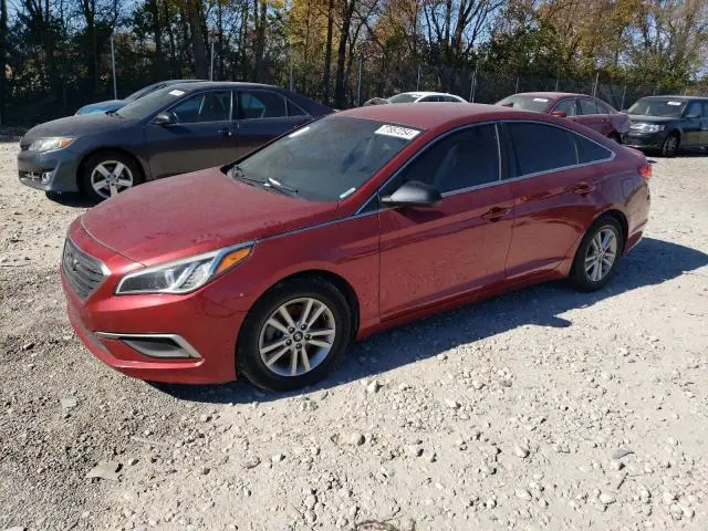 5NPE24AF4GH352070