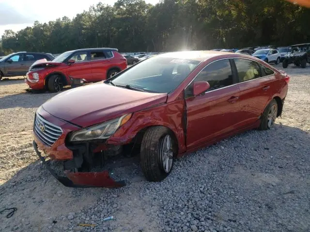 5NPE24AF4HH515950