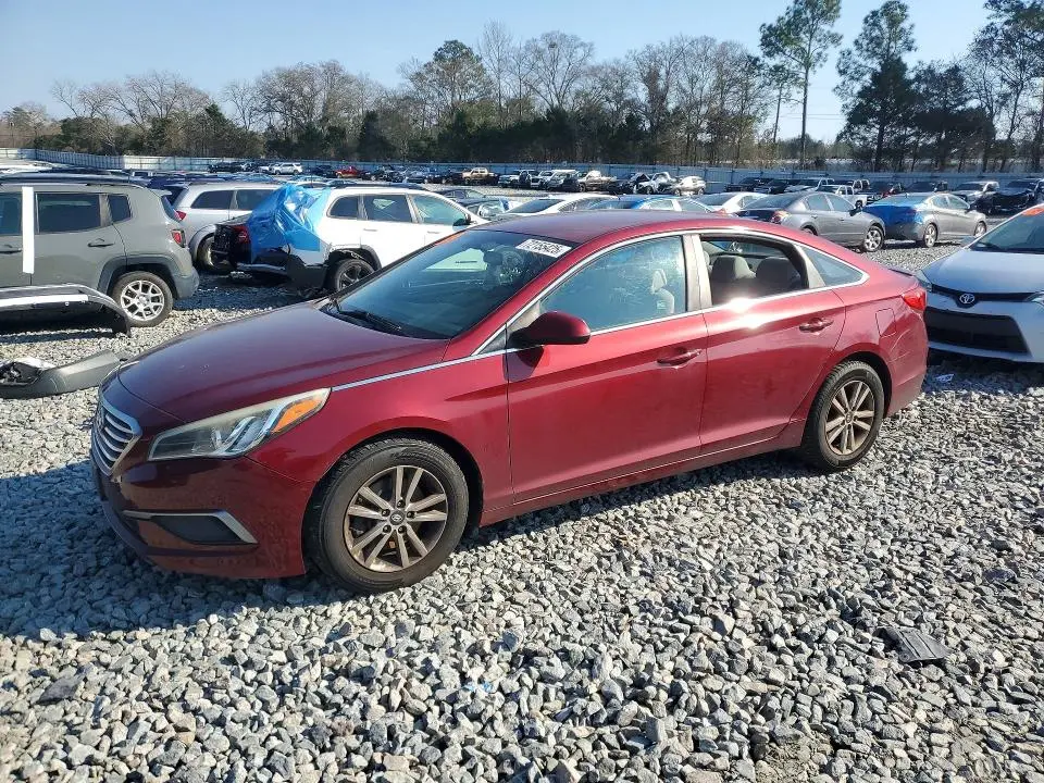 5NPE24AF5GH416701