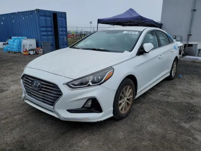 5NPE24AF6KH753841