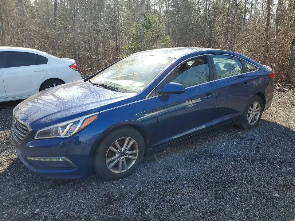 5NPE24AF7FH054966