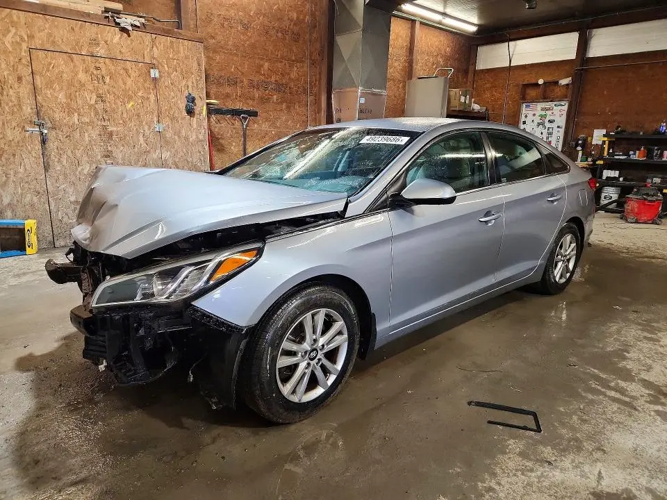 5NPE24AF7FH205899
