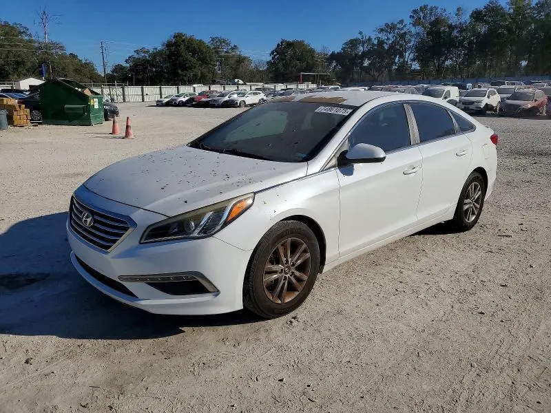 5NPE24AF7FH242452