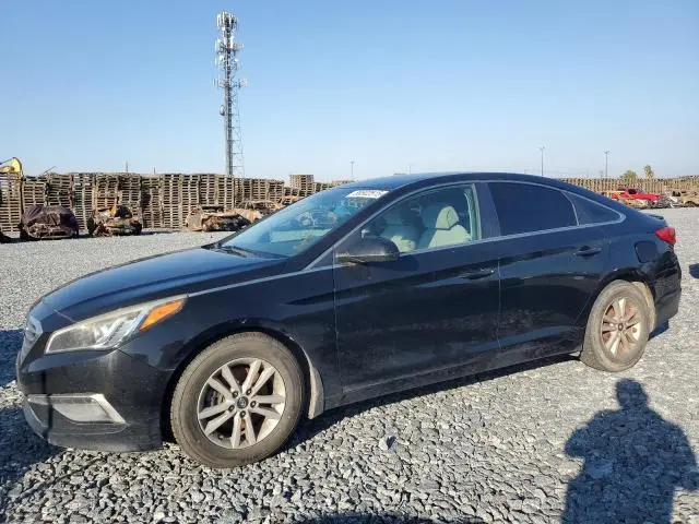 5NPE24AF8FH215552