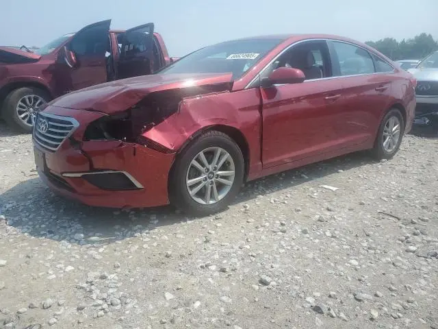 5NPE24AFXGH294434