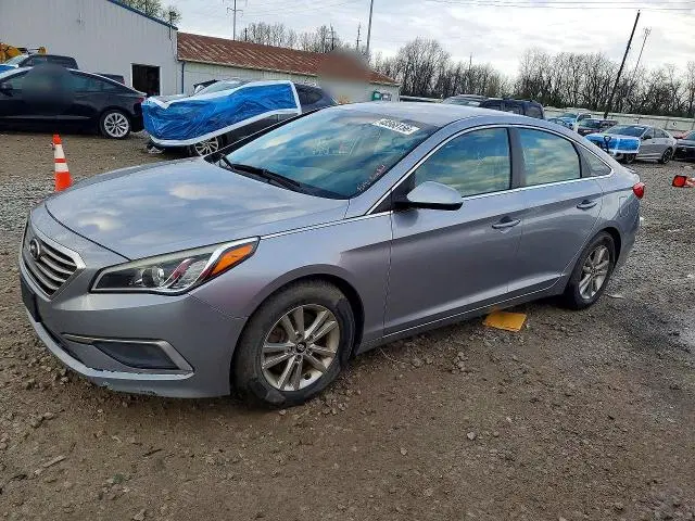 5NPE24AFXHH445662
