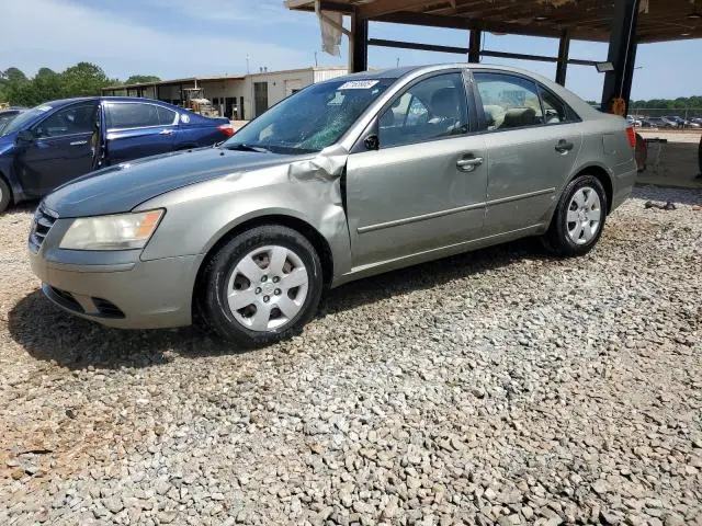 5NPET46C49H526251