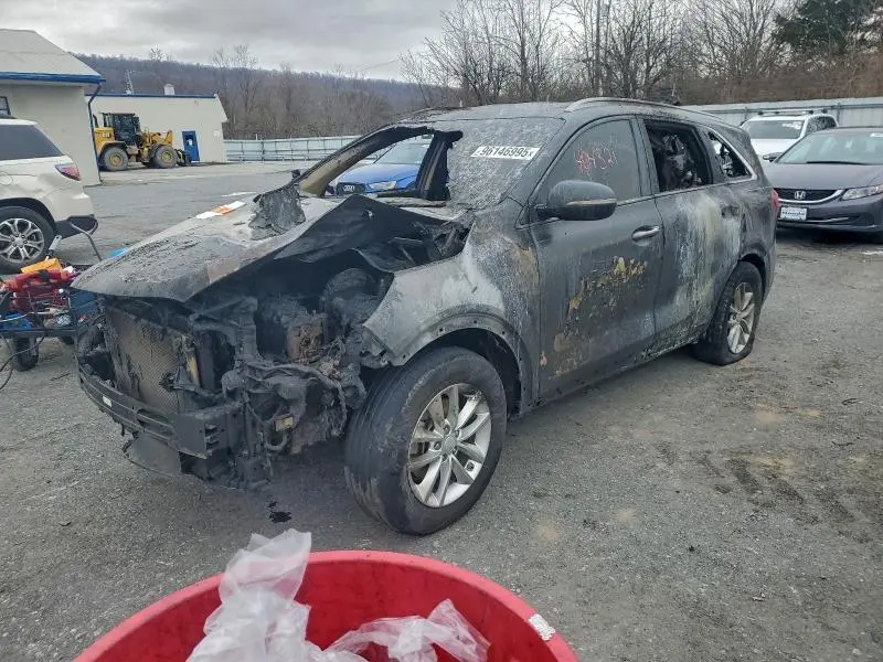 5XYPG4A33JG404321