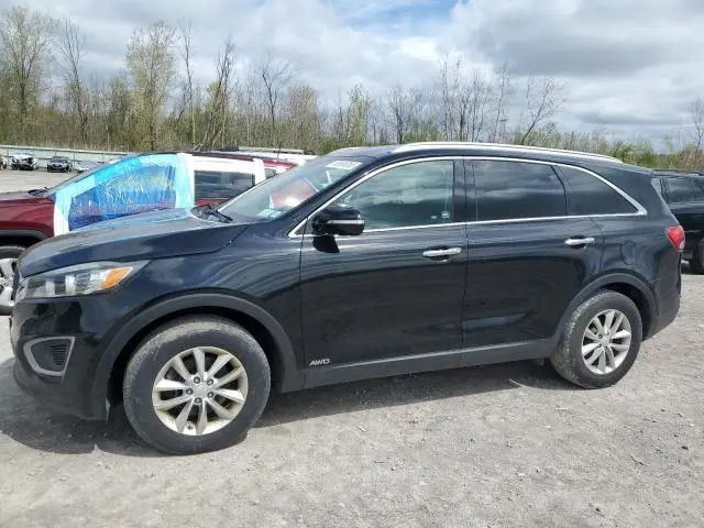 5XYPGDA33JG350163