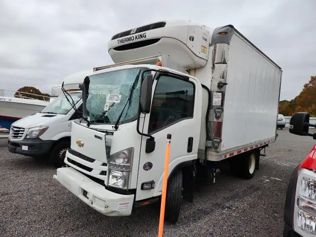 JALEEW169L7300630
