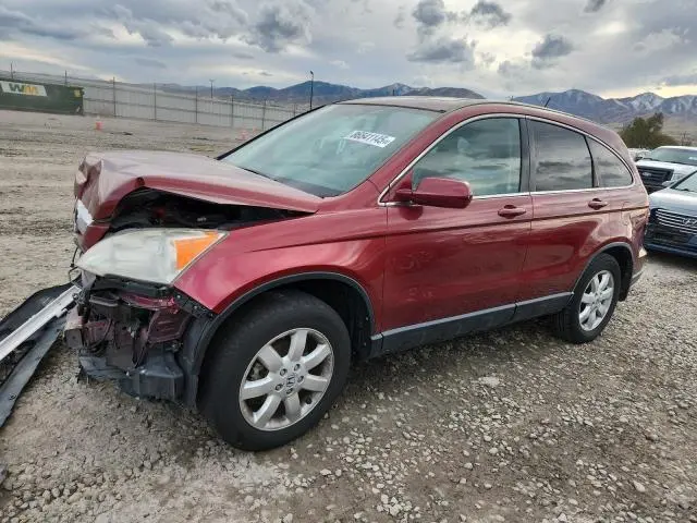 JHLRE48719C008270